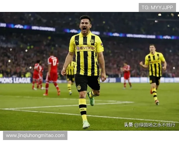 京多安的足球旅程与成就解析：从德甲到英超的辉煌历程与未来展望